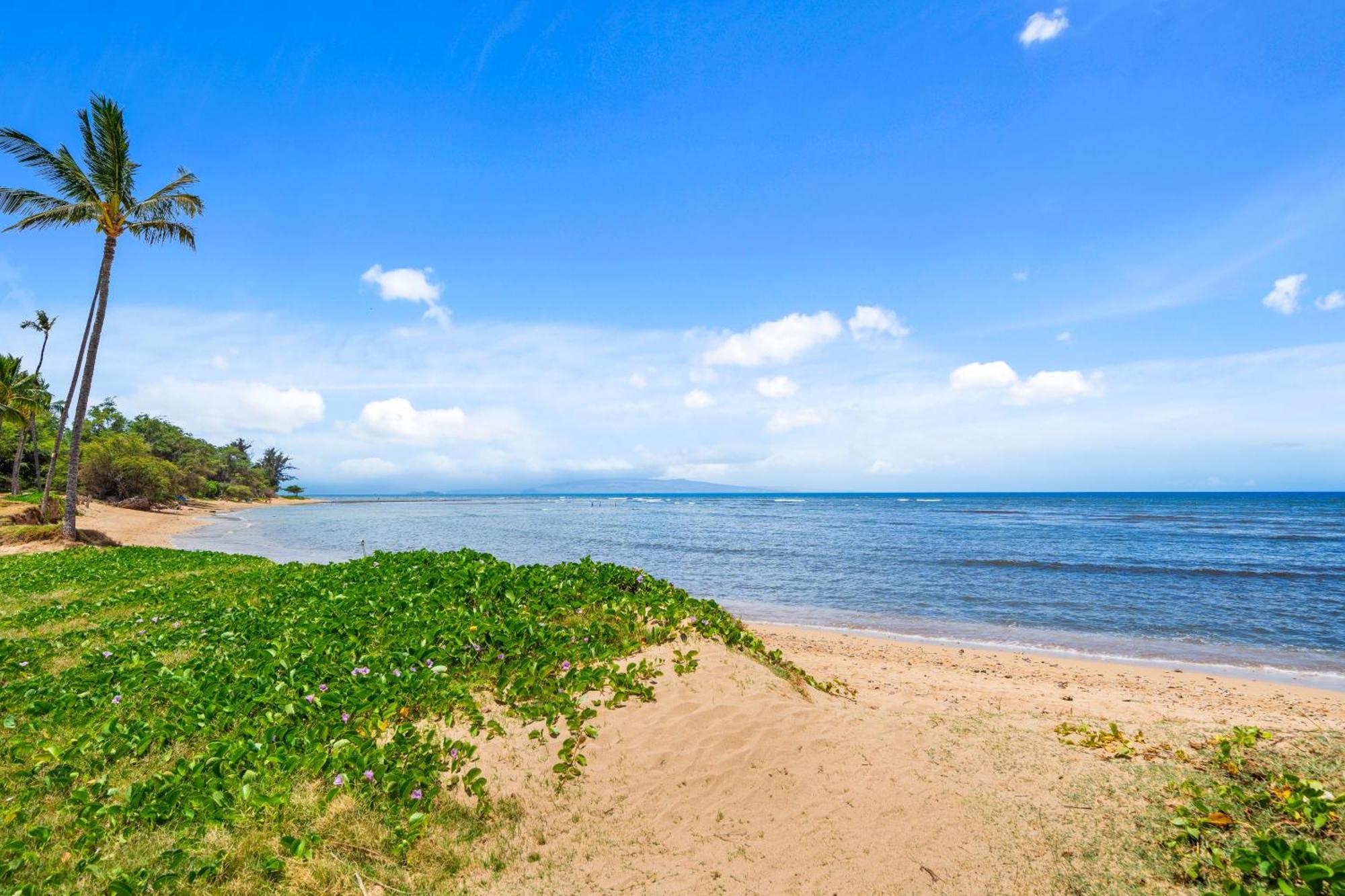 Maui Schooner Resort Kihei Esterno foto