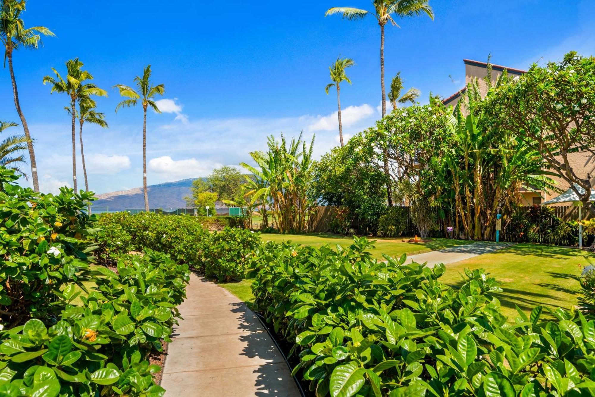 Maui Schooner Resort Kihei Esterno foto